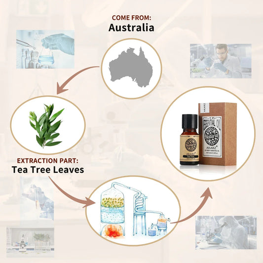 AKARZ Rosemary Essential Oil Natural for Body Hair Care Diffuser  Candle Soap Making  DIY Massage  Aroma huiles essentielles